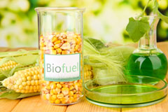 Squires Gate biofuel availability